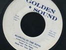 1525 FITZ MAJOR-BLOWING IN THE WIND-GOLDEN SOUND-  REGGAE 45 7