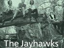 JAYHAWKS - TOMORROW THE GREEN GRASS - VINYL LP - NEU&OVP  (2014) BACK TO BLACK