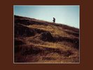 Van Morrison Common One Vinyl LP Record New Sealed