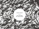 Bearer Of Bad News - Andy Shauf (2015, Vinyl NUEVO)