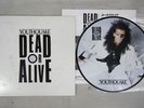 DEAD OR ALIVE YOUTHQUAKE EPIC 30 3P-670 Japan Picture Vinyl LP