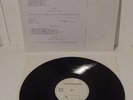 THE CRAMPS A DATE WITH ELVIS 1986 BIG BEAT TEST PRESSING LP