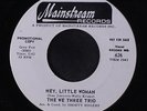 WE THREE TRIO: Hey, Little Woman / 'till Next Summer 45 (dj, sm tol) rare Soul
