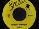 T. RADU: Perfect Stranger / What's In A Name 45 rare Punk/New Wave