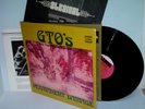 GTOs Permanent Damage book & inner '69 Straight LP ZAPPA MOTHERS of INVENTION E-