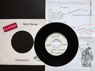 THE TURTLES *HAPPY TOGETHER* + TORNADOS *TELSTAR* PORTUGAL TEST PRESSING PROMO 7