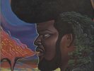 Buddy Miles A Message To The People vinyl LP album record UK 6338048 MERCURY
