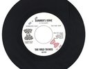 Wild Things 1967 Blue Onion 45rpm Summers Gone b/w Taste Your Lips OHIO gArAgE