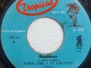 RUBEN LEMA BARRUNTO ECUADOR GUAGUANCO VERY RARE  #  HEAR