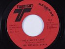 Crossover Soul 45 DYNAMIC TINTS Falling In Love TWINIGHT HEAR
