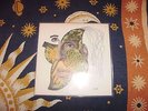 V.A.      LP:  Flies like holy Days       / Alternative / Smegma   / Independent