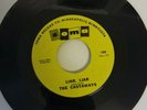 The castaways - liar liar. 7