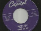 ROCKABILLY R&B bw/ TEEN- RONNIE AND ROY  - BIG FAT SALLY  --HEAR -1959 CAPITOL