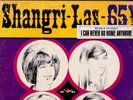STILL SEALED ORIGINAL THE SHANGRI-LAS '65  LP on RED BIRD 1965 GIRL GROUP