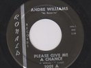 Andre Williams (Mr. Bacon Fat) 