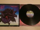 THIN LIZZY BLACK ROSE 1979 UK PRESS  12