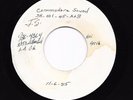 Unknown/Unreleased (?) Sweet/Modern Soul Test Press 45 Commodore Sound HEAR