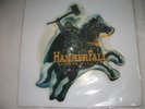 Hammerfall 