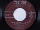 Funk/Sweet Soul 45 JAMES LEWIS FIELDS How Long Shall Wait TOP POP VG++/VG+ HEAR