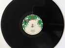 CLARKIE BURNS - TROUBLES // I ROY - WORRIES / [ JUNGLE BEAT ]
