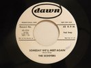 The Scooters 45 plays 33 SOMEDAY WE'LL MEET AGAIN /REALLY VG++The Royals Detroit