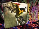 CLEAN UK 1974 ORIG = BUDGIE = IN FOR THE KILL   HARD HEAVY SABBATH Psych Metal