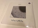 Gozu The Fury of A Patient Man 2xColored Vinyl LP Records, 2013, Free Shipping