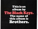 Brothers by The Black Keys (Vinyl, May-2010, 2 Discs, V2 (USA))