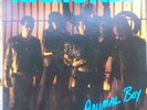 RAMONES - Animal Boy ORIGINAL VINTAGE 12