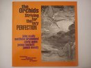 The Orchids - Striving For The Lazy Perfection