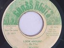 ROOTS - LOOK AROUND - GRASS ROOTS ( ROOTS REGGAE 7 ) LEE PERRY