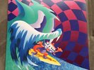 MGMT - Congratulations - 2 LP Vinyl Records Reissue Numbered #1877