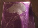 The Groupies SEALED 1969 Rock Groupies Placter Casters & GTOs Psych LP