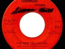 The Castaways - You Were Telling Lies SUPER RARE GARAGE ROCK 7