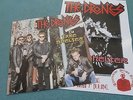 THE DRONES TAKE SHELTER LP & POSTER NUMBERED LIMITED EDITION PUNK BONE IDOL
