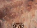 Citizen of Glass, Agnes Obel, Vinyl, 5414939944338