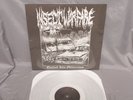 Insect Warfare evolved to obliteration LP SEALED grindcore grind hatred surge