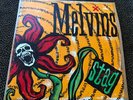 melvins STAG Double Vinyl Am Rep Haze XXL signed edition TOOL nirvana