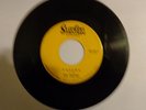 RARE SURF/ The Gestics- 