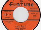 ANDRE WILLIAMS - JAIL BAIT / MY TEARS -  FORTUNE 45 #837  BLUES JIVER NM HEAR IT