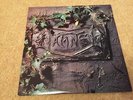 Damned Black Album gloss sleeve EX+/EX+ punk sex pistols clash buzzcocks slits