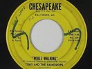 Doo-Wop R&B 45 - Tony & the Raindrops - While Walking - Chesapeake - mp3