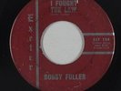Rockabilly/Teen 45 - Bobby Fuller - I Fought The Law/She's My Girl - Exeter mp3
