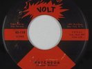 R&B/Deep Soul 45 - Dorothy Williams - Watchdog - Volt - mp3