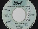 Teen Rocker 45 - Robin Luke - Susie Darlin' - Dot - mp3 - promo