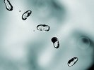 Peter Gabriel - Up  2016 Ltd Edition Vinyl Release