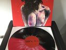Pig Destroyer Terrifyer LP nails napalm death brutal truth converge dying fetus