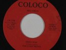 Power Pop 45 - Lost Boys - Into You - Coloco - VG++ mp3 - unknown?