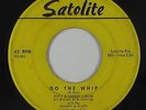 R&B Soul 45 - Kitty & Sheeny LaNier - Do The Whip - Satolite - mp3