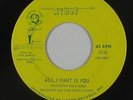 Garage 45 - Shadden & the King Lears - All I Want Is You - Arbet - VG++ mp3